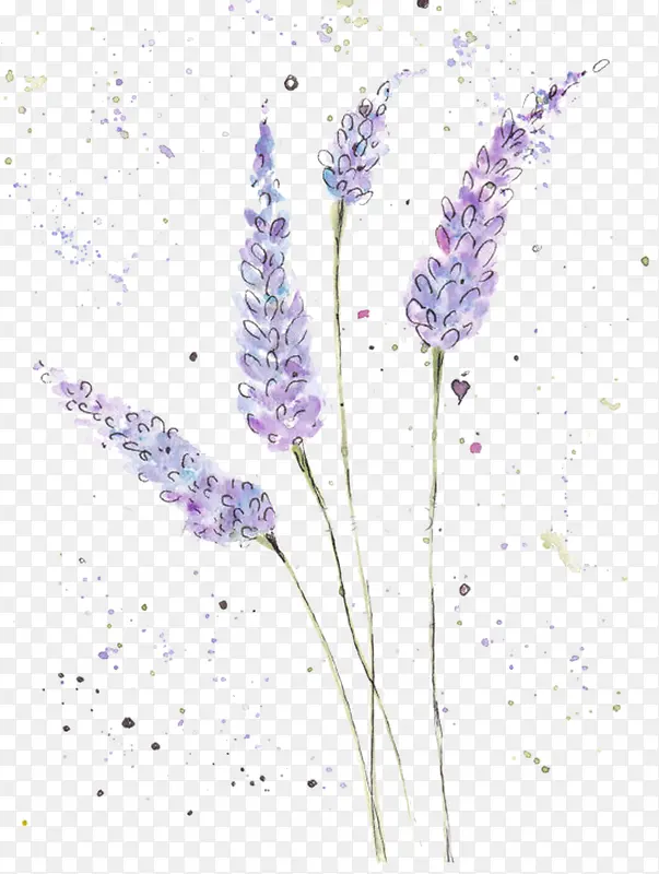 ���µ���޹�²�-������