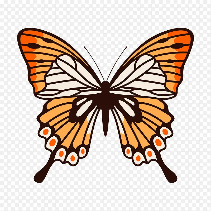 �ƻ�ɫ���������-������