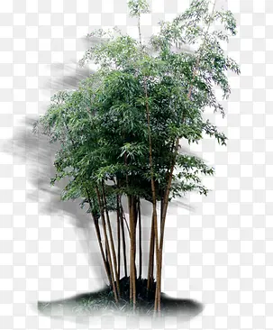 ������Ӱ���ŷ��ݱ�ֲ��-������