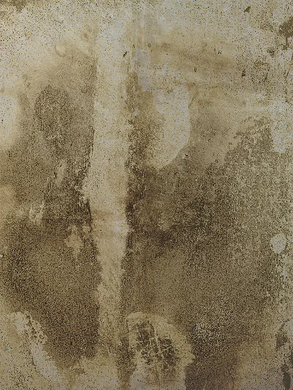 ���ǽ�ڱ���-������