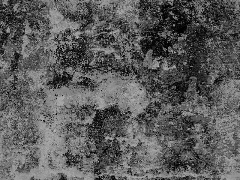 �����ǽ�ڱ���-������