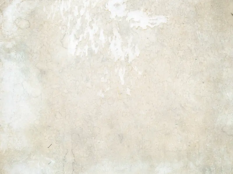 ǽ����������-������