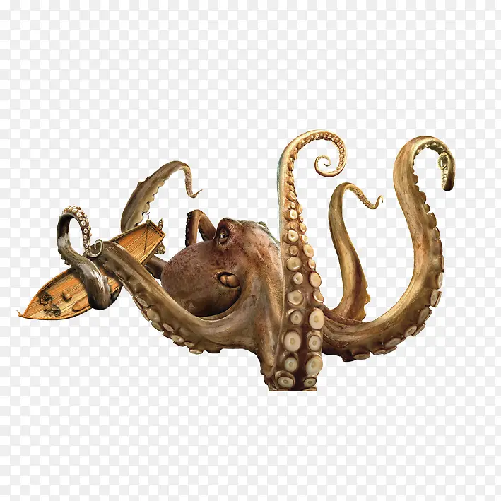 ��Ʒʵ������-������