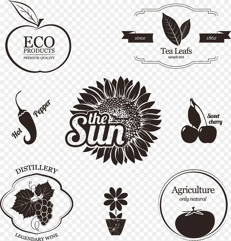 �ƺ�ʳ��ʸ��-������