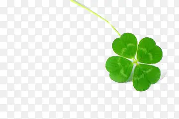 ������Ҷ��-������