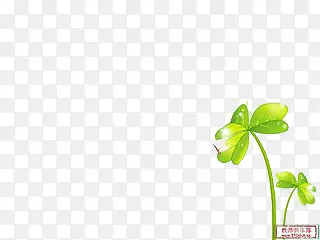 ���˵���Ҷ��-������