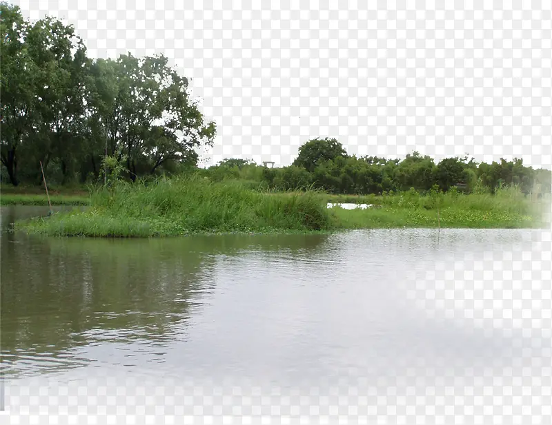 Ұ�⹫԰���ߴ���-������