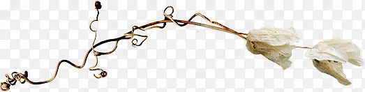 ��ɫ֦��-������