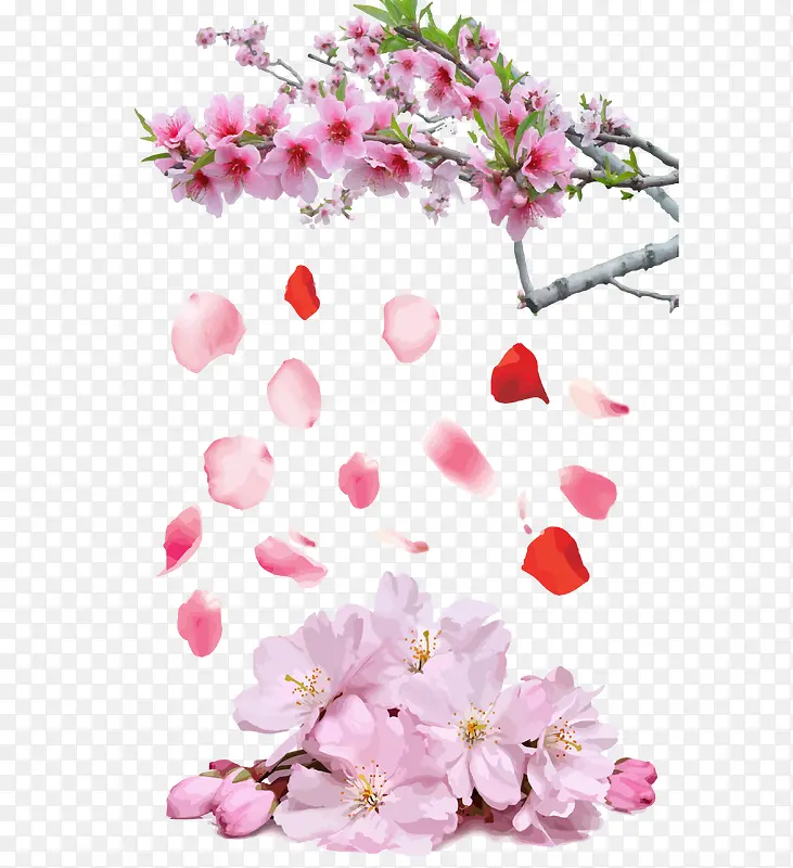 �һ��������-������