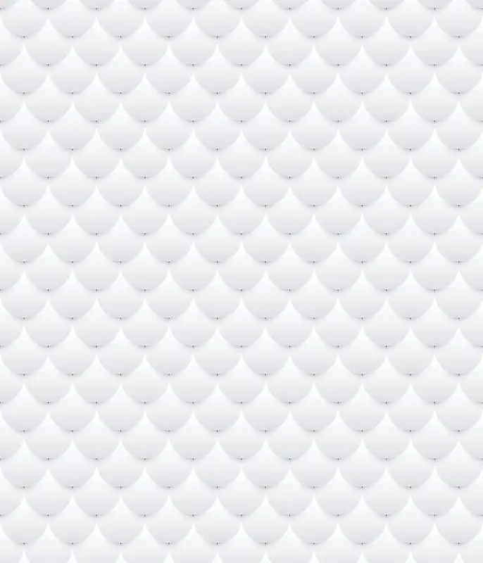 ��ɫ���۱�������-������