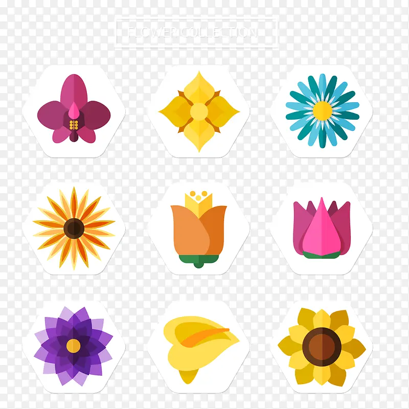 ��ƽ������ͼ��ʸ��-������