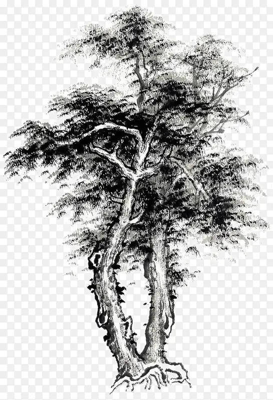 ������-������