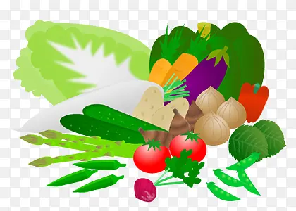 ��ͨ�߲�-������