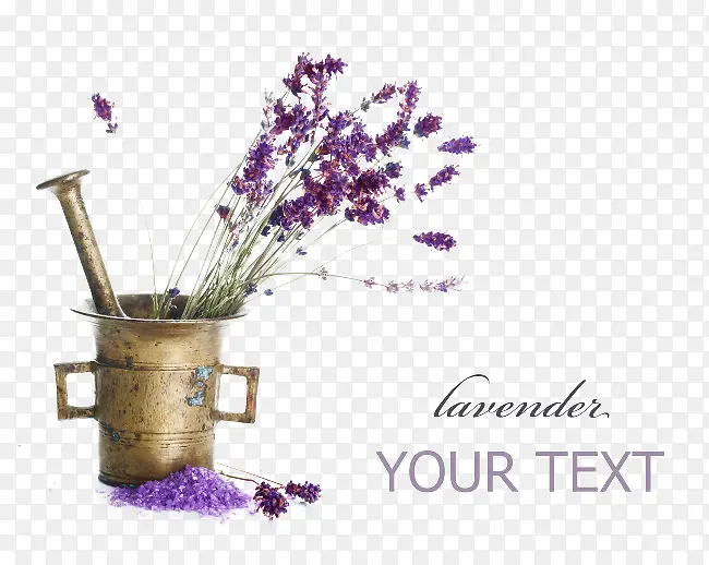 ޹�²�С����Ԫ��-������