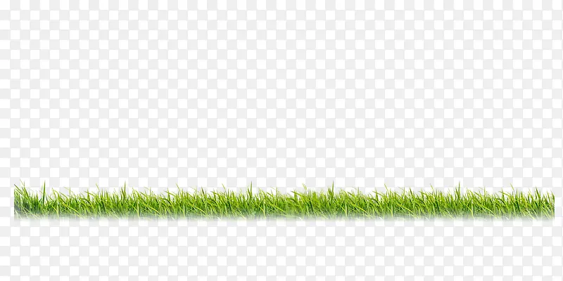 �̲ݵ�-������