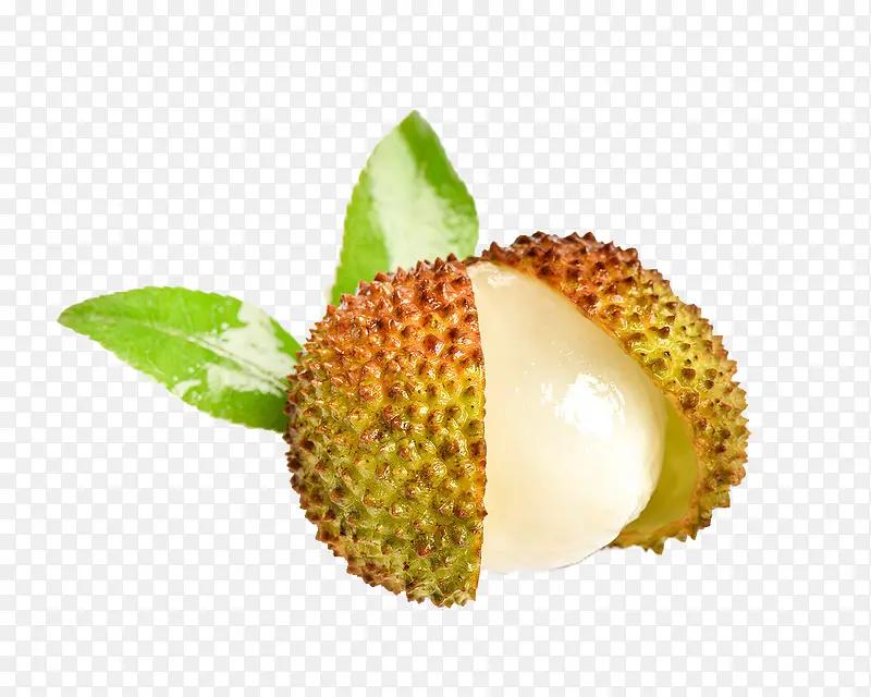 ˮ����֦-������