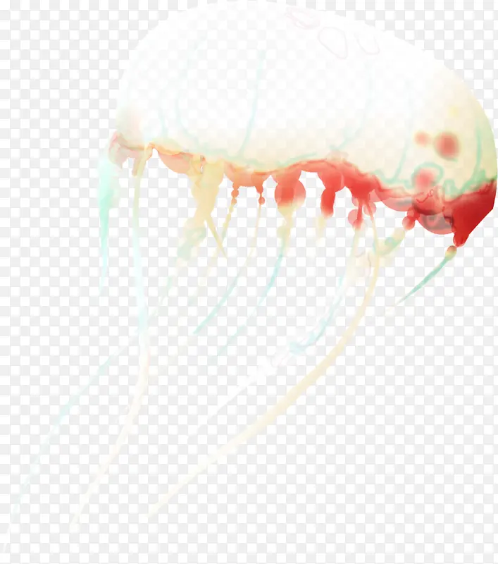 ˮĸ��ɫ�ز�-������