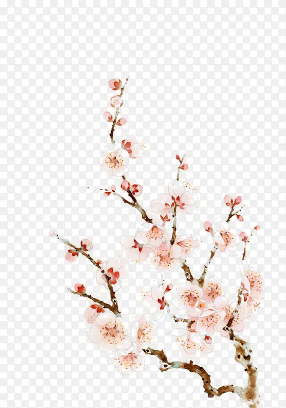 �һ���֦-������