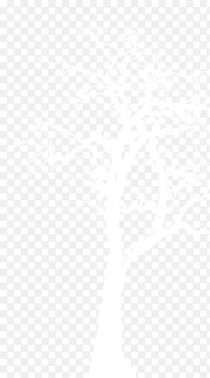 ����ɫ��֦-������