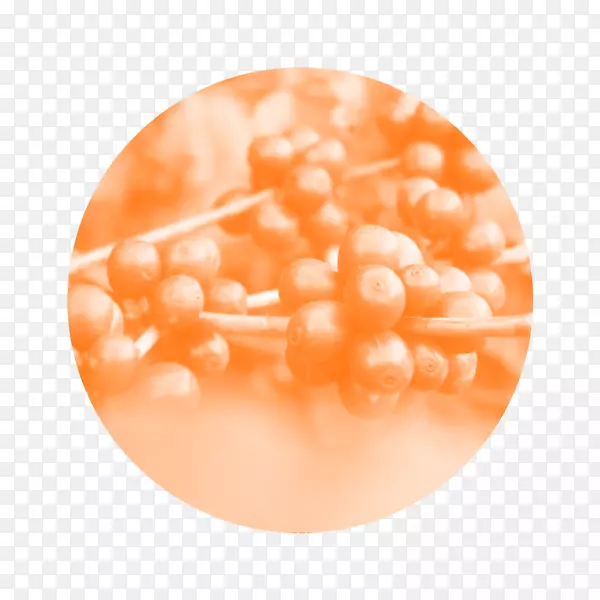 ��Ʒ����Ũ������cerrado���Ȳ�-�޷�-������