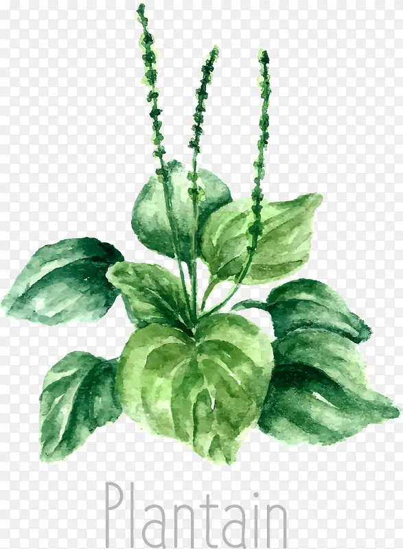 ʸ����ǰ��-������