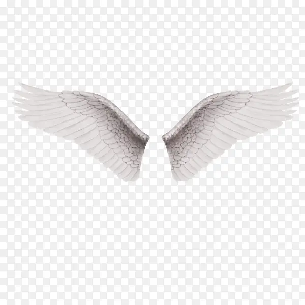 һ˫��ɫ�ĳ��-������