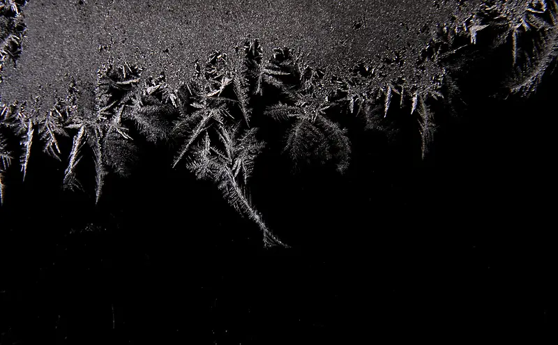 ��ɫѩ������-������