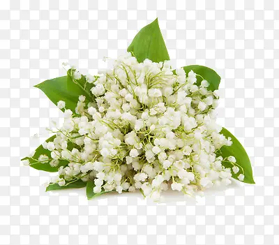 һ��������-������