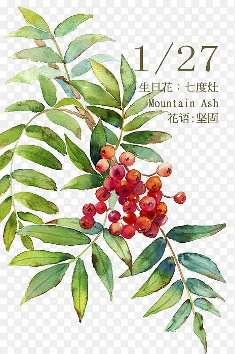 ���ջ�-������