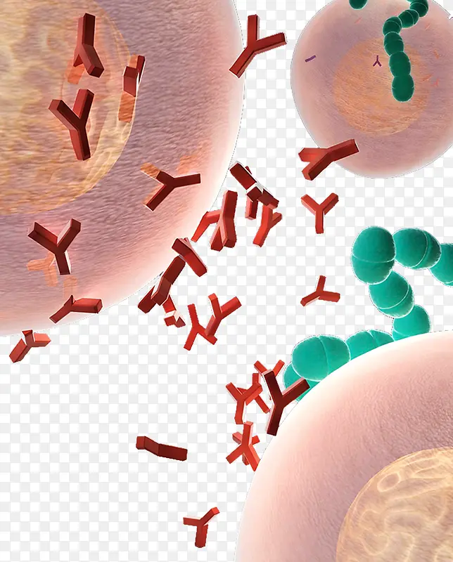 ����ϵͳ��ԭ����-������