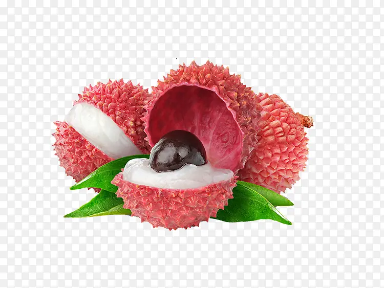 ��ɽ��֦-������