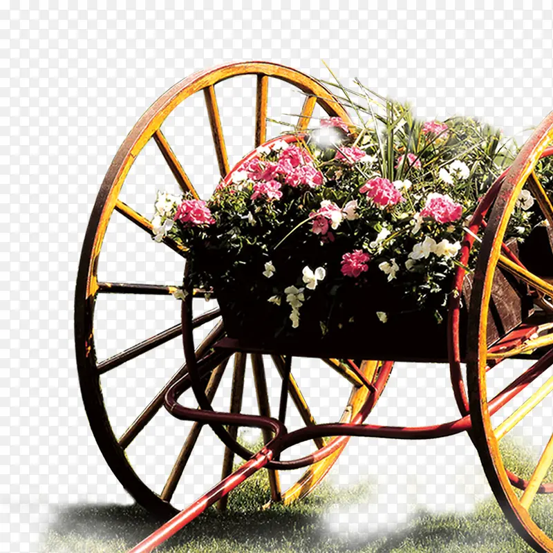 ���ֻ�-������