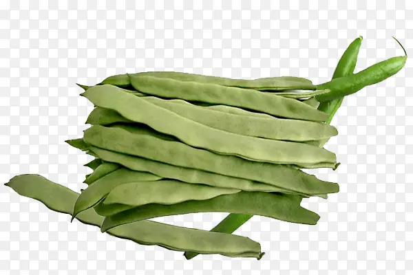 ʵ���л�ë����-������