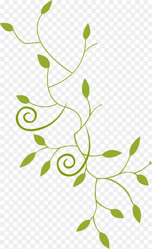 ��ɫҶ�ӻ���-������