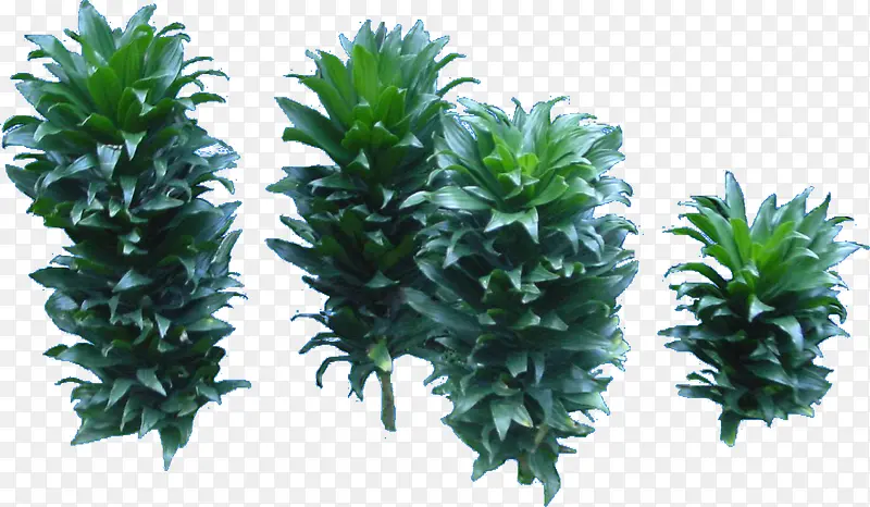 �ͺ�ֲ��ֲ㴴��-������