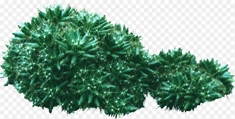 �ͺ�ֲ�ﴴ������-������