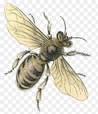 ��ͨ�۷�-������