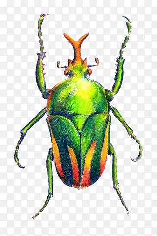 �ֻ�����-������