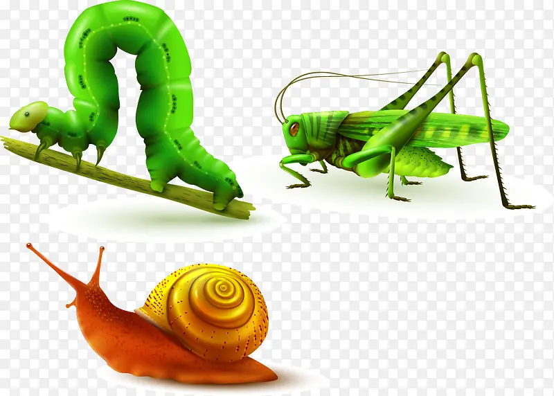 ��ţ�Ƴ�-������