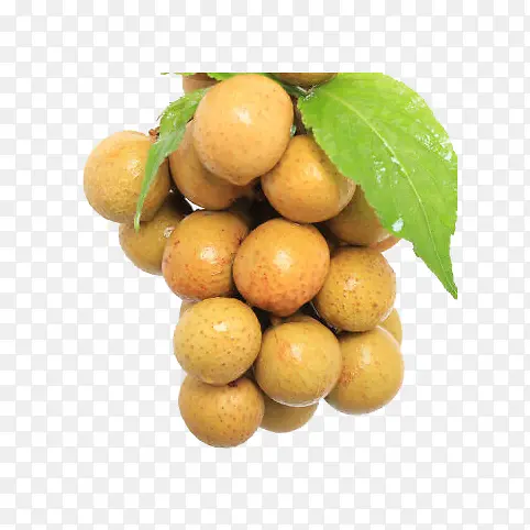 ��������ˮ��-������