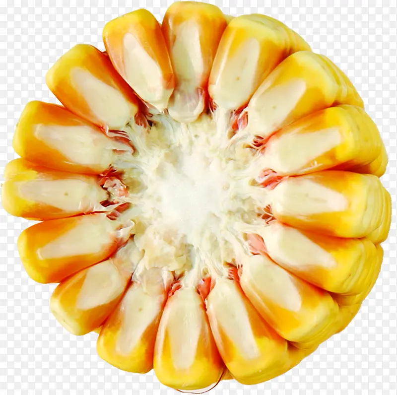 �������׿���ʳ��-������