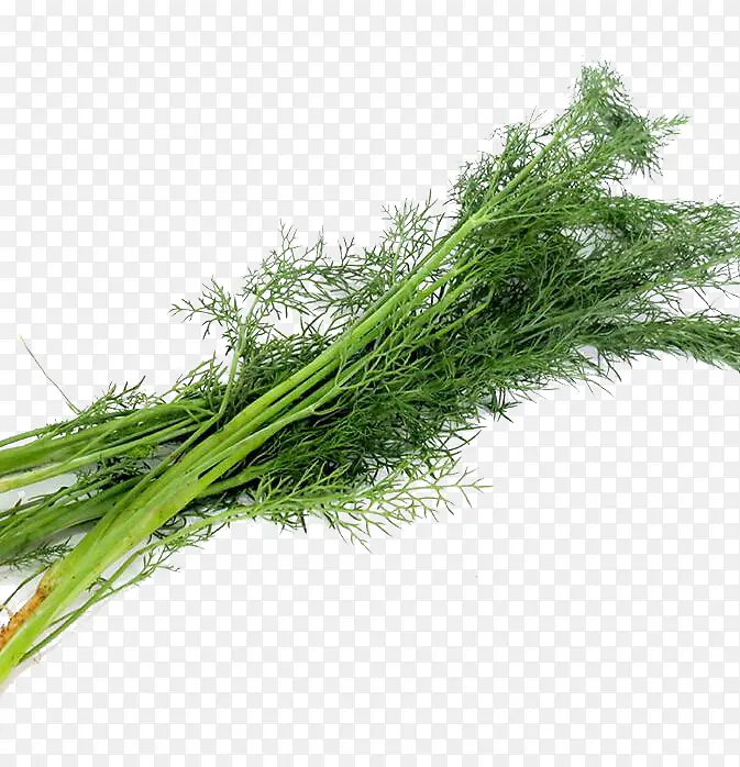 ��ɫ������-������