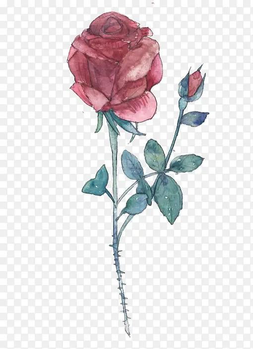 �ֻ�õ��-������