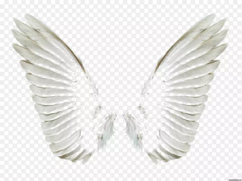 �⾰-���-������