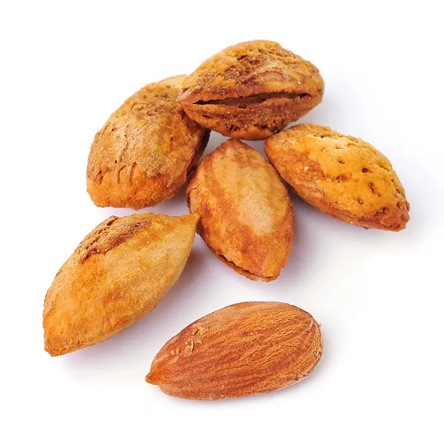 �͵�ľ��ʳʵ����Ӱ-������