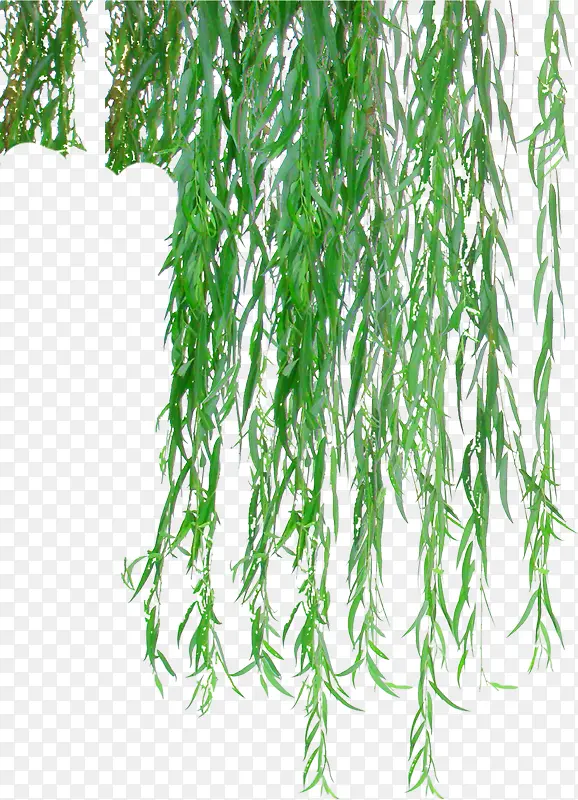 ����Ұ������֦װ��-������