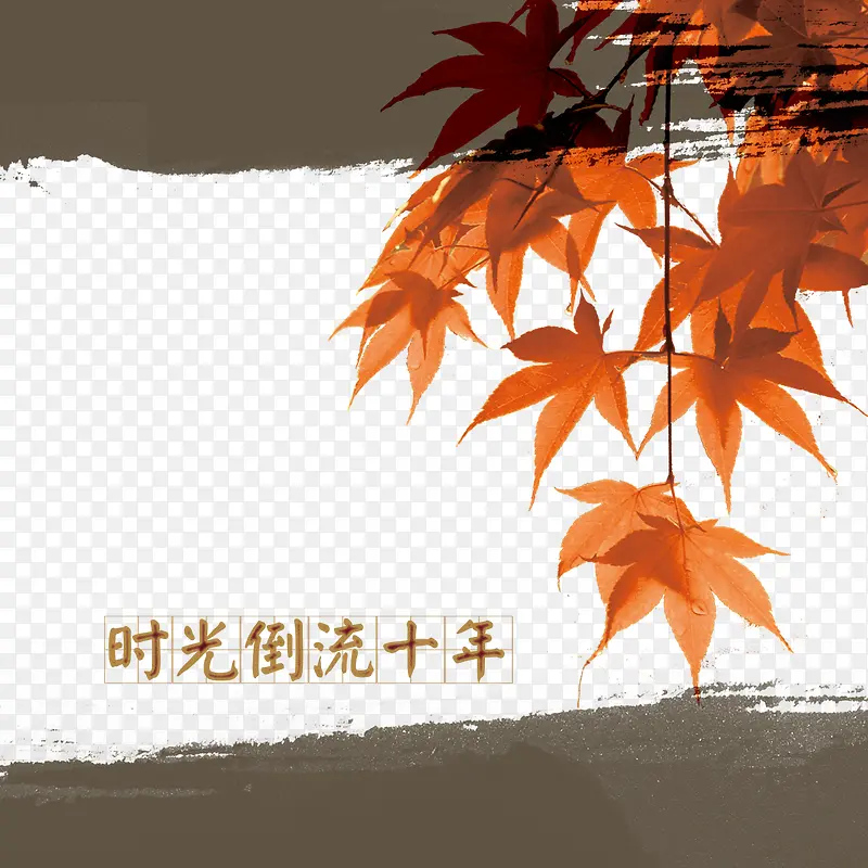 ��ī��Ҷ�ز�����-������