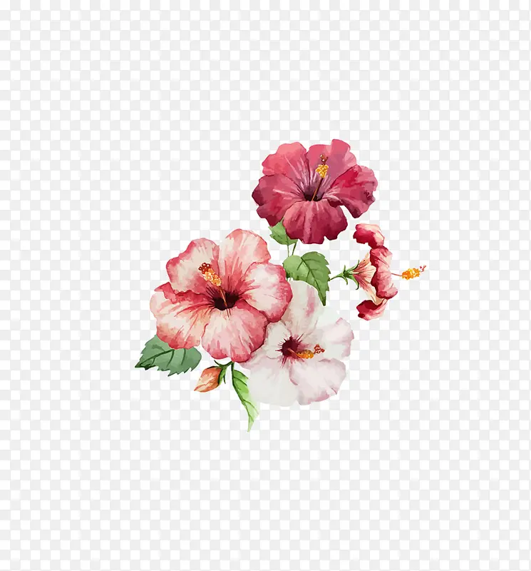 ���ŵ�ǣţ��-������