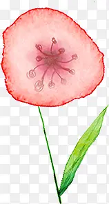 �ֻ�ˮ�ʺ�ɫ��ǣţ��-������