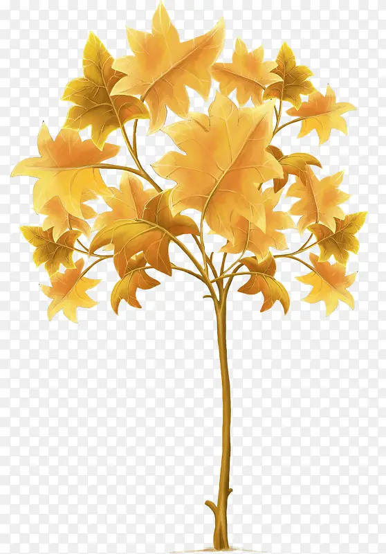 ��ɫƯ����֦��Ҷ-������